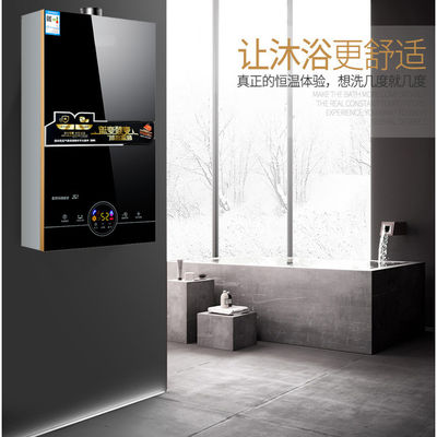 Endless Hot Water Supply Intelligente elektrische tankloze waterverwarmer voor 220V spanning