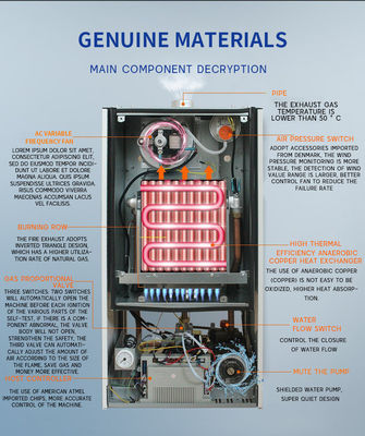 Krachtige gaswaterverwarmer tankloze warmwaterketel voor Ce Wall Hang Gasketel Huishouden