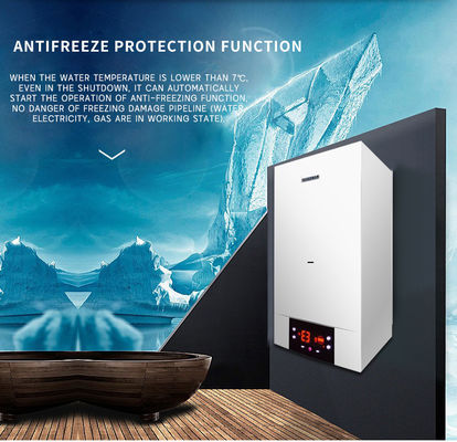 Krachtige gaswaterverwarmer tankloze warmwaterketel voor Ce Wall Hang Gasketel Huishouden