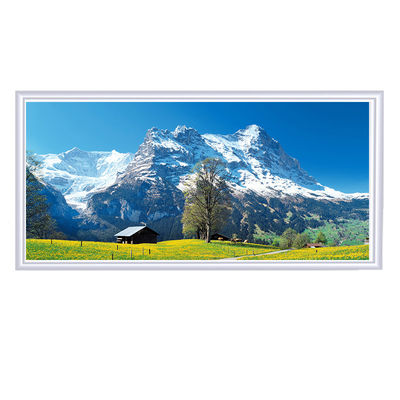 Infraroodpaneelverwarmer 600W 1000W voor thuisbureau