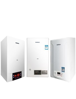 Krachtige gaswandboiler voor hotel binnen warm warm huishoudelijk verwarmer nieuwste ontwerp