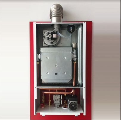 NO Private Mold Natural Gas Wall Hang Combination Boiler voor verwarming en warm water