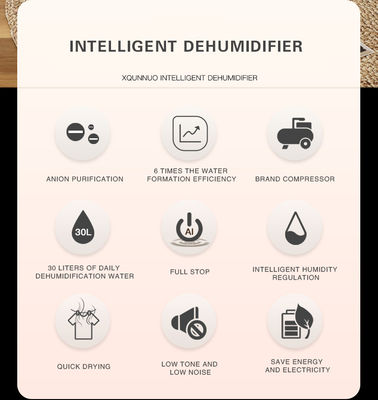 Silk Screen Printing Home Moisture Absorber Luftentfeuchter voor het hele huis