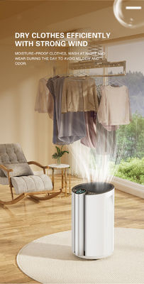 Silk Screen Printing Home Moisture Absorber Luftentfeuchter voor het hele huis