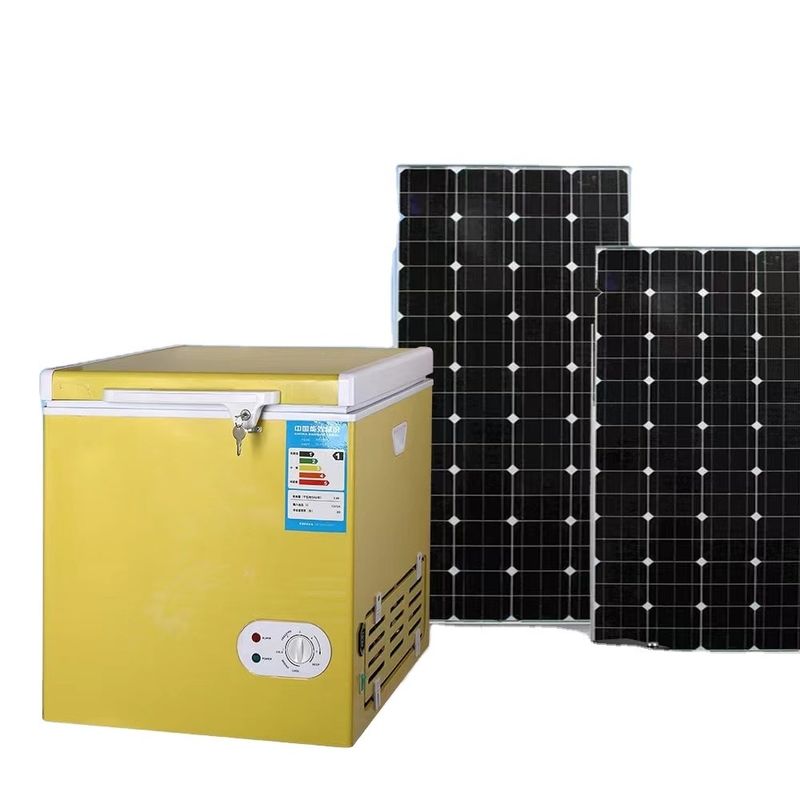 Capaciteit 90L 12v 220v ac dc vriezer mini-koelkast voor auto trek zonnebril koelkast